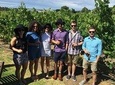 Adelaide Hills and Hahndorf - Half Day Private Tour