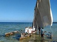 Pongwe Dhow fishing