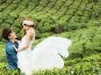 Kerala Honeymoon Special Package with Tree house and Private Houseboat 