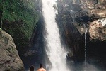 Best of Ubud: Waterfall, Rice Terraces & Monkey Forest