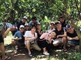 Mekong Delta 1 day deluxe tour (small group tour)
