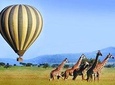 11 Days: Tanzania &Rwanda Safaris (great migration and air balloon)
