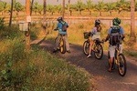 BLive Electric Bike Tours - Ilha Verde - A Tucked Away Paradise 