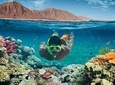Sharm el-Sheikh: Ras Muhammad Snorkel and Desert Safari