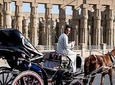 tour by horse carriage