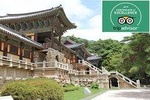 7 Day Essential Korea Tour(Seoul City tour, Nami, DMZ, Andong, Gyeongju, Busan)