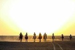 Horse Riding in Hurghada