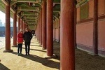 5 Day Essential Tour for Korea's past and present(Seoul, DMZ, Gyeongju, Busan)
