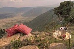 7 Days Luxury Tanzania Wildlife Safari