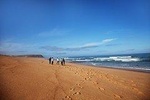 1 day surfing with Atlantic Coast Surf School