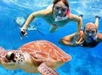 Snorkeling Experience At Blue Lagoon Bali With Lunch And Transfers
