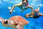 Snorkeling Experience At Blue Lagoon Bali With Lunch And Transfers