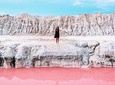 Tour to Las Coloradas Pink Waters and Boat Ride in Rio Lagartos with Lunch.