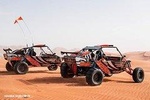 Drive Your Own Desert Fox Dune Buggy Safari