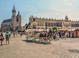 Private Half-Day Sightseeing in Krakow