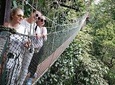 2D 1N Tour Rainforest Taman Negara with Jungle walk to Cascading Waterfalls 