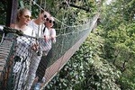 2D 1N Tour Rainforest Taman Negara with Jungle walk to Cascading Waterfalls 