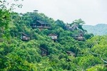 4 Days Sanya Highlight Private Tour for Tropical Rain Forest Experience
