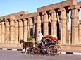 Luxor city tour by Horse Carriage
