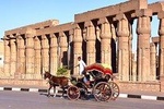 Luxor city tour by Horse Carriage