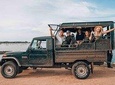 Half Day Safari at Yala National Park with Lunch from Kalutara / Bentota
