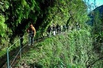 Levada do Rei Full Day Tour