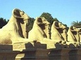 Luxor visit in one day