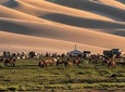 14-Day Private Tour from Gobi Desert to Steppe with Meals