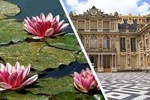 Palace of Versailles & Giverny Audio Guide Tour with Pickup and Drop Off