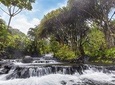 Tabacon Hot Springs Day Pass