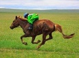 2 Days Naadam Festival 2020
