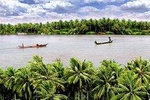 1 day tour from Can Tho to Ben Tre - King coconut trees - come back / to Sai Gon