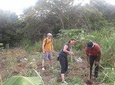 Tour a Jamaican Farm