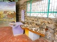 Kariandusi Prehistoric Site and Hyrax Hill Day Tour