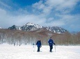  Nagano Snowshoe Hiking Tour