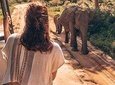 Udawalawe Half Day Safari from Kalutara / Wadduwa / Bentota (Entrance + Lunch)