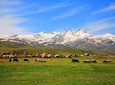 Mount Aragats, Amberd Fortress, Saghmosavank Monastery, Alphabet - private tour