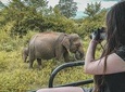 Udawalawe Half Day Safari (Entrance + Lunch)