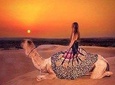 Private Camel safari With Sunset & Exclusive Dinner on Dunes 