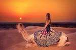 Private Camel safari With Sunset & Exclusive Dinner on Dunes 