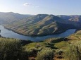 Private Hiking Through Douro Valley Wine Region for Half Day Tour