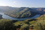 Private Hiking Through Douro Valley Wine Region for Half Day Tour