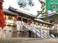 7 Day Highlight Korea Tour(Seoul, Nami, DMZ, Andong, Gyeongju, Busan)