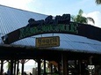 Negril Private Airport transfer to/from Hotels & Accommodations