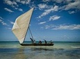 Pongwe Dhow Sailing