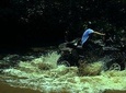 Atv Arenal Volcano 2 Hrs