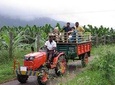 Hill station farm house stay 