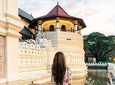  Kandy Sightseeing Day Tour from Colombo (All Inclusive)
