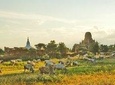 Private Tour Bagan & Mount Popa (2 Days)