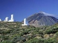 Volcano & Mt Teide Private Tour in Tenerife